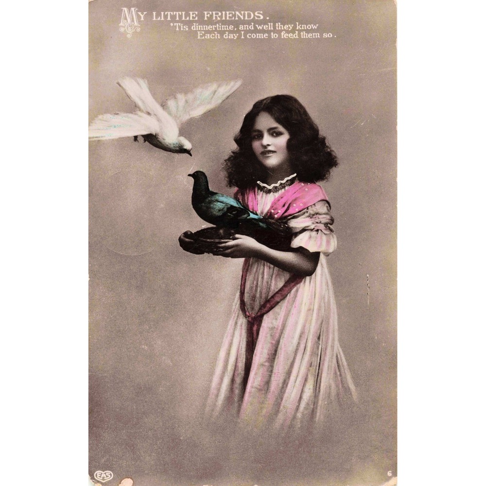 Antique Postcard My Little Friends Girl with Birds EAS Berlin 1908 Postmark VG- - Picture 1 of 2